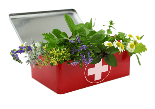 Herb bundle